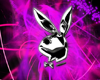 play boy