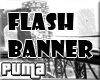 :::: Flash Banner