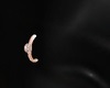 RG Brow Piercing (R)