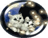 Cats in The Moon Sticker