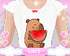 ✧.° Kids Capy Outfit
