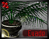 ® Evade Plant 2