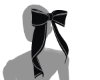 Hair Ribbon Placement 2