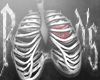 T. chest heart