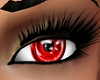 *KV* Bright Red