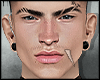 s. Head FabIO