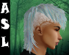 ASL - Blight Hair M.3