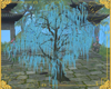 !A-Blue wisteria