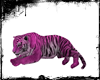 !Tiger pink