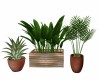POTTED PLANTS GROUP
