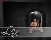 LEX Wall Cage 1