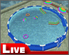 live-Swimming Pool