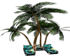 (MC) Palm Tree recliners
