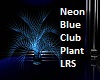 Neon blue club Plant