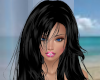 Raven Black Brettanie