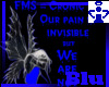 FMS ~not invisible