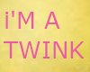 Twink v2 (sign)