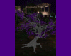 J.A Purple Tree