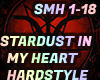 STARDUST IN MY HEART HS