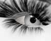 ℠ - SEXY Lashes