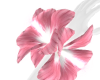 Hibiscus Bangle Glow - L