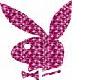 Pinky Playboy sticker!!
