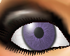 Eyes Lavender