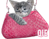 Bag with Cat