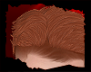Z! Hair Kenn Ginger