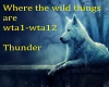 where the wild things