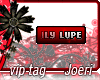 j| Ily Lupe