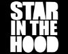 *[DS]*StarInTheHood**