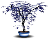 Blue rose tree