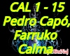 Farruko Calma