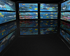 H_PVC shark tank Room 