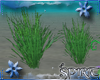 *S* Under the Sea Grass