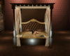Luxury brown bed
