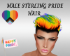 MALE STERLING PRIDE HAIR