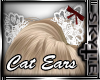 Lacey Cat Ears[white