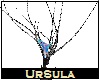 UrSula Head Tendrils