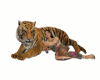 Tiger hug