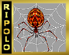 Ani Fire Spider & Web