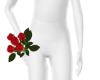 Red rose