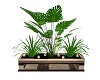 LL~CREAM & WOOD PLANTS