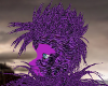 purple roo roo (M) hair