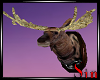 Moose Head - Mounted -