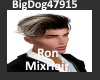 [BD]RonMixHairstyle