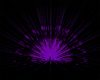 purple explosion light