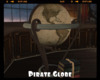 *Pirate Globe