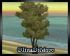 (OD) Mooria tree 2